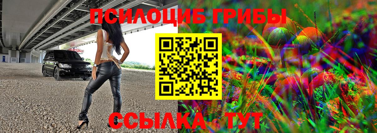 Галлюциногенные грибы Psilocybine cubensis  Вход с VPN  Апшеронск 